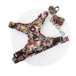 Nylon Adventure Style Pet Harness and Leash with Reinforced Back Pocket for Small Dogs