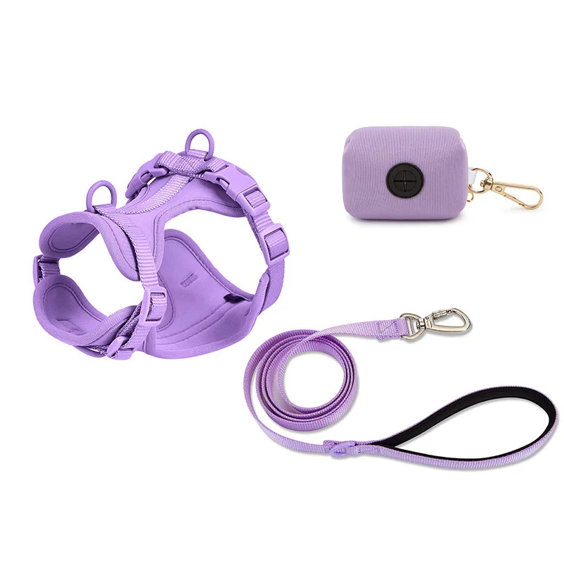 Nylon Breathable Puppy Vest Harness Set Adjustable Dog Chest Harness for Small Medium Large Dogs Outdoor Walking