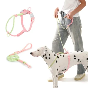 Nylon Dog Harness with Leash Set Reflective Lightweight Breathable Comfort Custom Logo for Small Medium Dogs