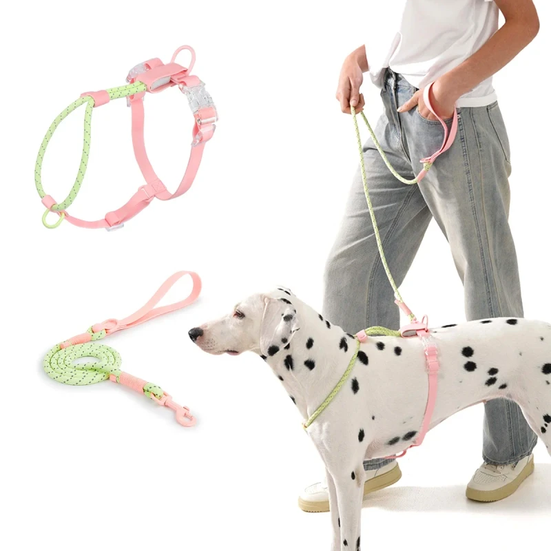 Nylon Dog Harness with Leash Set Reflective Lightweight Breathable Comfort Custom Logo for Small Medium Dogs