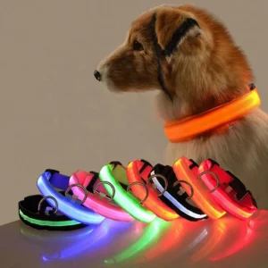 Nylon LED Pet Dog Collar Night Safety Flashing Glow in the Dark Dog Leash Dogs Luminous Fluorescent Collars Pet Supplies QR Code