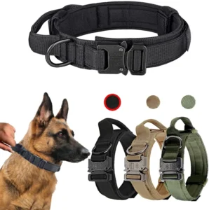 Nylon Pet Dog Collar With Simple Adjustable Design Training Tactical Durable Dog Collars Pet Supplies Dog Accessories