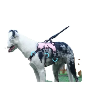 Nylon Pet Harness for Medium to Large Dogs Anti Escape Breathable & Durable Dog Leash