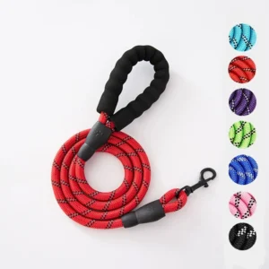 Nylon Slip Lead Puppy Leash Training Long Line Pet Dogs Reflective Dog Leash