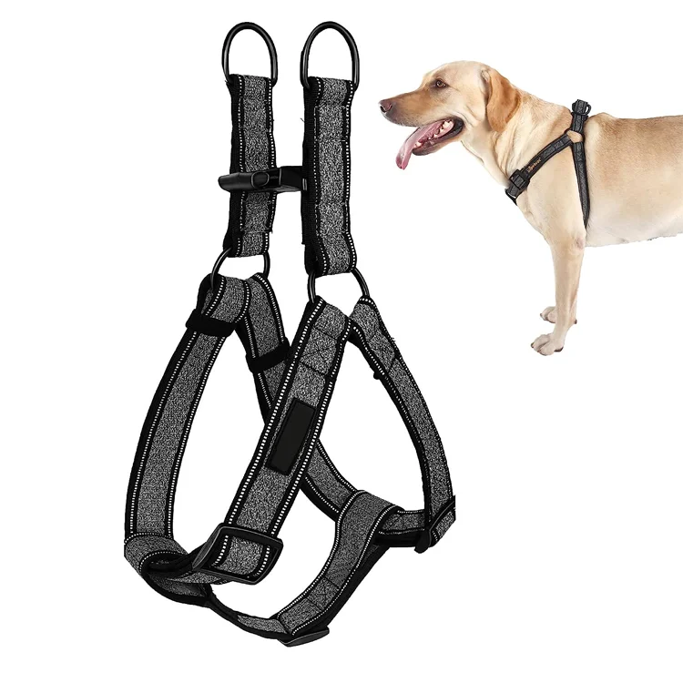 Nylon Striped Walking Pet Collars Leashes & Harnesses Custom Dogs Personalized Luxury Harness
