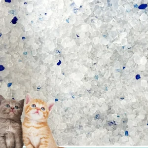 ODM OEM Large Particle Crystal Silica Cat Litter Flushable Eco Friendly Features Fast Clumping Strong Odor Control Dust Free