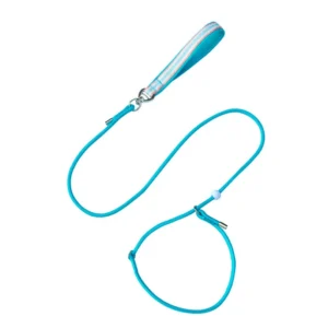 OEM Adjustable Nylon Dog Leash Soft Handle Explosion Proof P Chain Fashion Style Polyester Dog Collar Personalized for Show Dogs