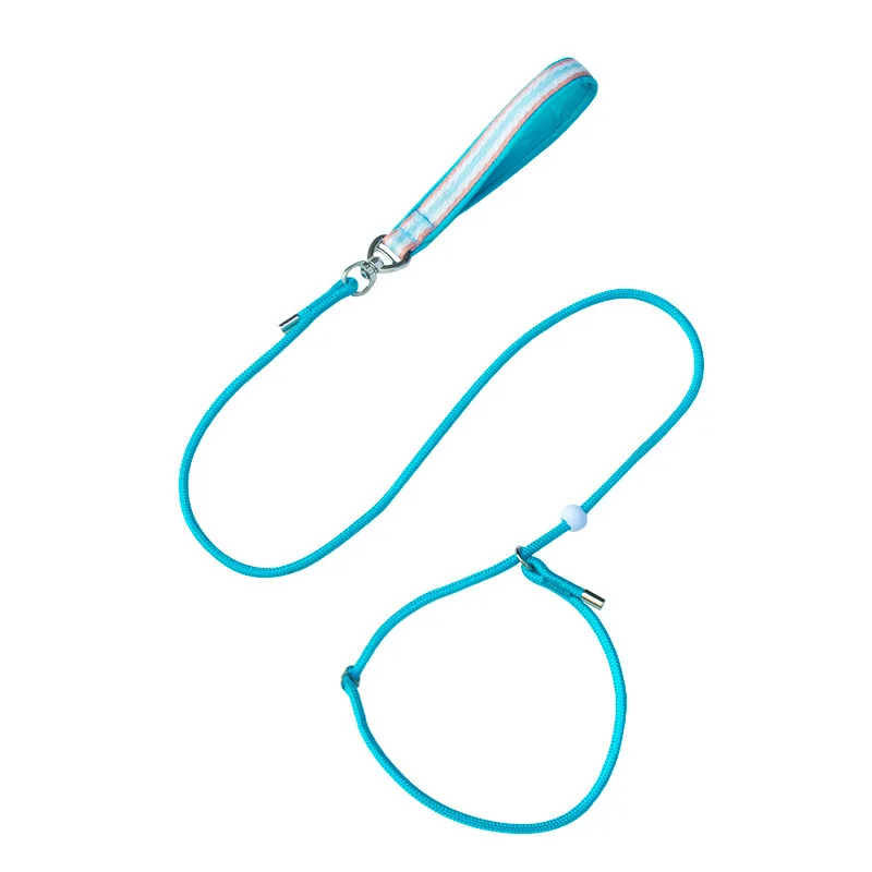 OEM Adjustable Nylon Dog Leash Soft Handle Explosion Proof P Chain Fashion Style Polyester Dog Collar Personalized for Show Dogs