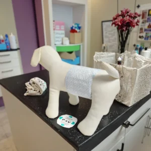 OEM Branding Pet Pee Diaper Disposable Pet Diaper Supply Super Absorbent Soft Female and Male Dog Diapers