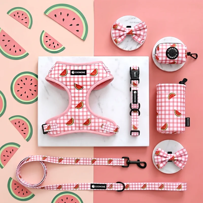 OEM Custom LOGO No Pull Dog Harness Set Soft Padded Mesh Pet Harness Dog Leash Neoprene Adjustable Step in Harness Vest Set