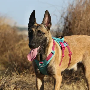 OEM Custom Logo Heavy Duty Reflective No Pull Designer Personalized Dog Harness Training Adjustable Outdoor Luxury Pet Harness