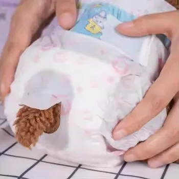 OEM Custom Logo Printed Cotton High Absorbent Leak Guard Super Soft Disposable CE Certified Dog Cat Diapers