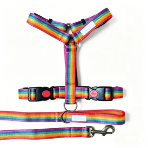 OEM Custom Luxury Rainbow H shaped Dog Harness Adjustable No Pull Nylon Pet Vest with Quick Release POM Buckle Durable