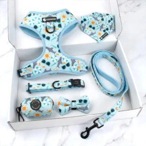 OEM Custom Pattern Design Luxury Dog Harness Pet Harness Set No Pull Durable Dog Leash Comfort Neoprene Padded Dog Harness Set