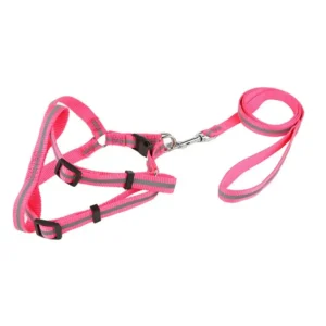 OEM Design Premium Pet Dog Harness Leash