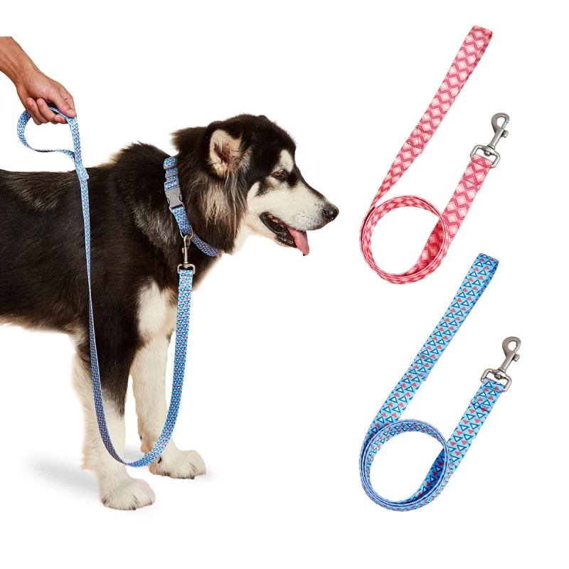 OEM Factory Design Graffiti Harnesses Collars and Leashes Custom Multi-sizes for Small Medium and Large Dogs Production Original