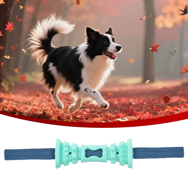 OEM Factory Durable Teeth Cleaning Training Dog Chew Tpr Rope Toys Interactive Pet Toys