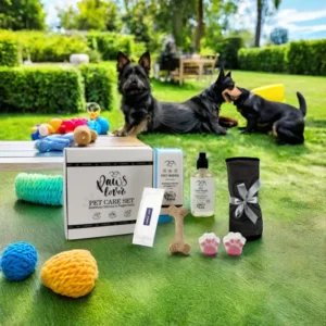 OEM Full Pet Care Set Natural Ingredient Body Wash Wet Wipes Bath Bomb Towel Grooming Set with Toy