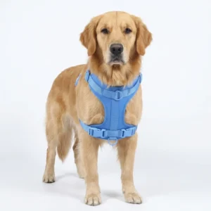 OEM Manufacturer Adjustable Neoprene Padded Pet Harness Customizable Choke Free Waterproof Dog Harness