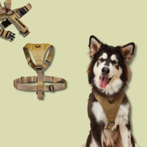 OEM No Pull Safety Adjustable Dogs Oxford Harness for Walking Hiking and Training in Various Colors