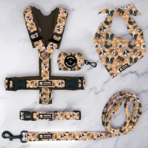 OEM ODM Adjustable Dog Vest Harness No Pull Perro Leash and Collar Set Chest Other Custom Dog Harness Set