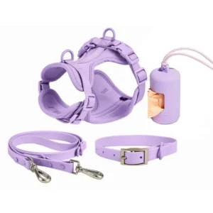 OEM ODM Adjustable Dog Vest Harness No Pull Perro Leash and Collar Set Chest Other Custom Dog Harness Set