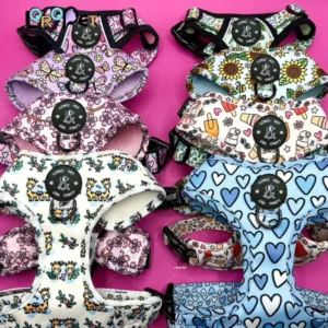 OEM ODM Custom Christmas Harness for Dogs Neoprene Fashion Dog Harness and Leash Collar Set with Low MOQ