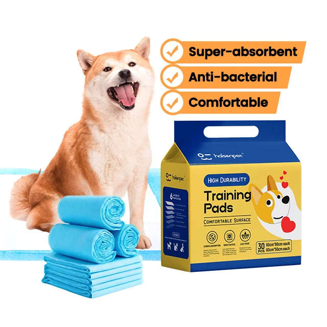 OEM ODM Custom Logo Puppy Diaper Training Disposable Pet Urine Pee Absorption Pads for Dogs