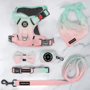 OEM ODM Designer Nylon Polyester Dog Accessories Dog Collar and Leash Harness Custom Dog Pet Leashes