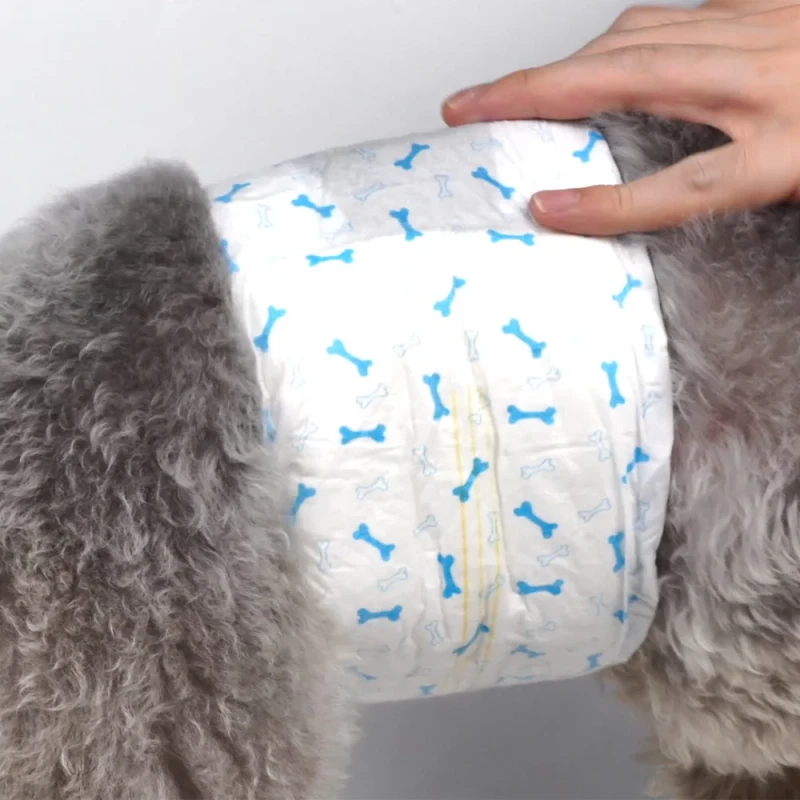 OEM ODM Dog Diaper with Dry Soft Male Premium