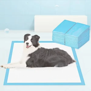 OEM ODM Factory Customizable Super Absorbent Dog Pee Pad Easy Clean Disposable Pet Training Diapers Nappies for Pet Training