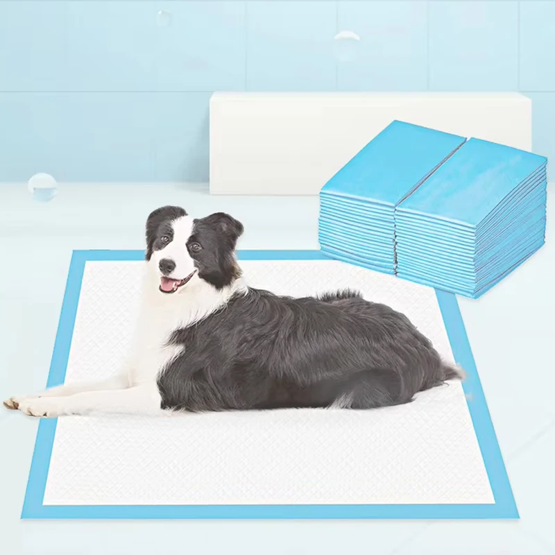 OEM ODM Factory Customizable Super Absorbent Dog Pee Pad Easy Clean Disposable Pet Training Diapers Nappies for Pet Training