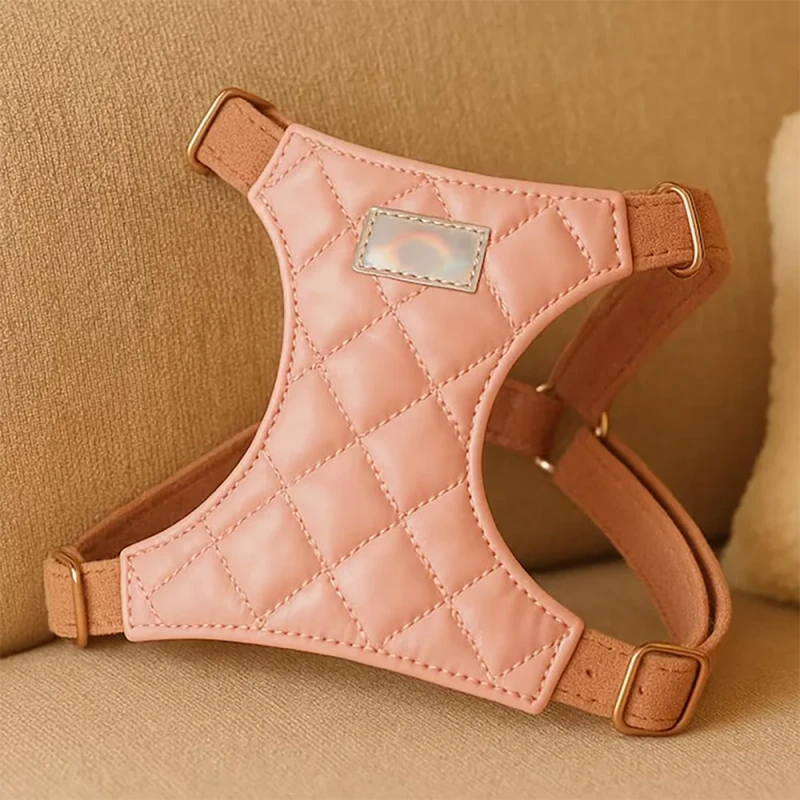 OEM ODM Personalized Custom Design Soft Pet Cat Harness Matching Dog Leash No Pull Dog Harness for Puppy Dog Cat