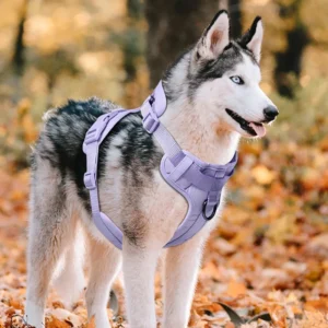 OEM ODM Soft Pet Dog Harness Set Durable Nylon Webbing Dog Vest Adjustable Pet Harness