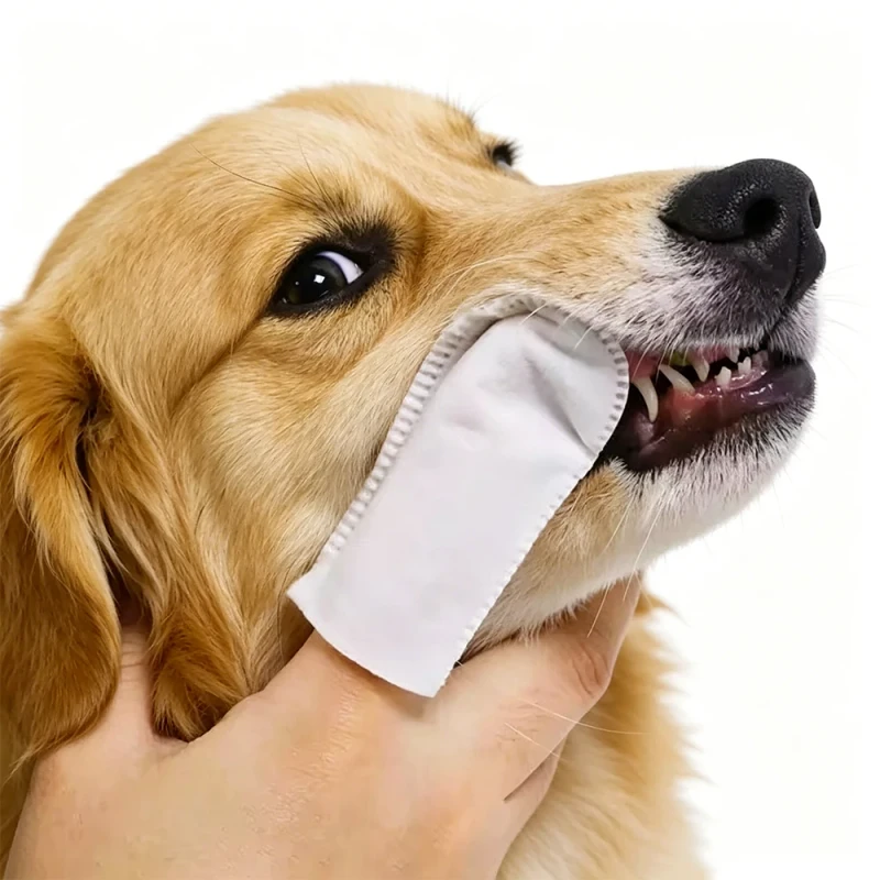 OEM Organic Pet Wet Wipes Effective in Removing Dirt and Grime Eye and Ear Cleaning Wipes for Dogs and Cats