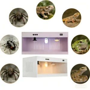 OEM PVC Eco Friendly Stocked Reptile Feeding Cage Terrarium Enclosure for Reptile Amphibian Supplies
