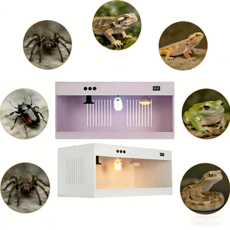 OEM PVC Eco Friendly Stocked Reptile Feeding Cage Terrarium Enclosure for Reptile Amphibian Supplies