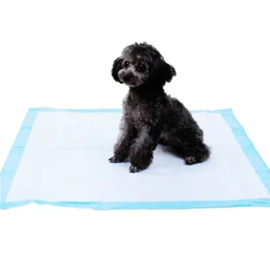 OEM Pet Mats Pads Diaper Disposable Training Urine Dog Pee Pet Pad for Pets