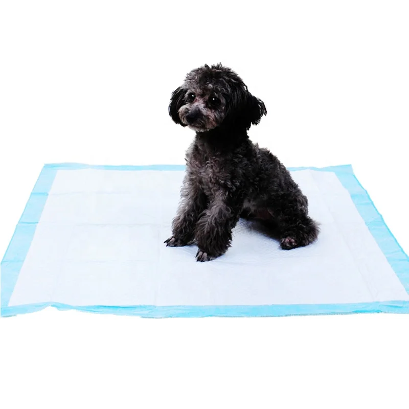 OEM Pet Mats Pads Diaper Disposable Training Urine Dog Pee Pet Pad for Pets