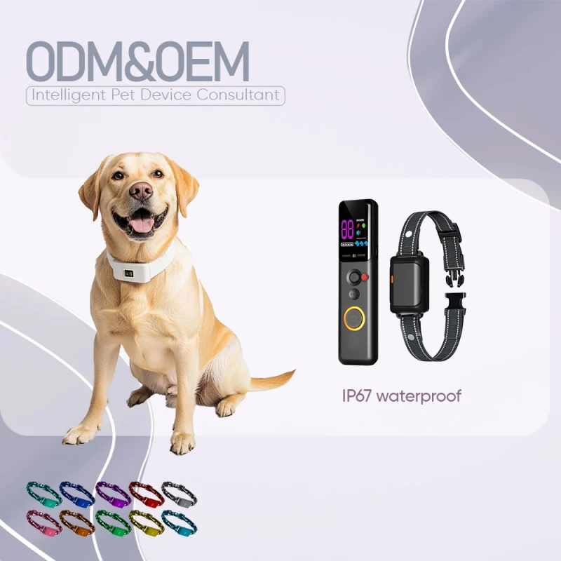 OEM&ODM Ip67 Waterproof Extraordinary Standby Time 1600ft Remote Control Range Anti Barking Dog Collar for Behavior and Training