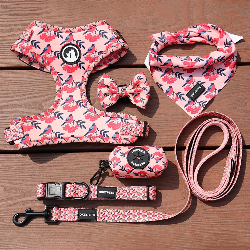 OKEYPETS Customised Pet Harness No Pull Dog Harness Vest Padded Mesh Rainbow Harness for Dog