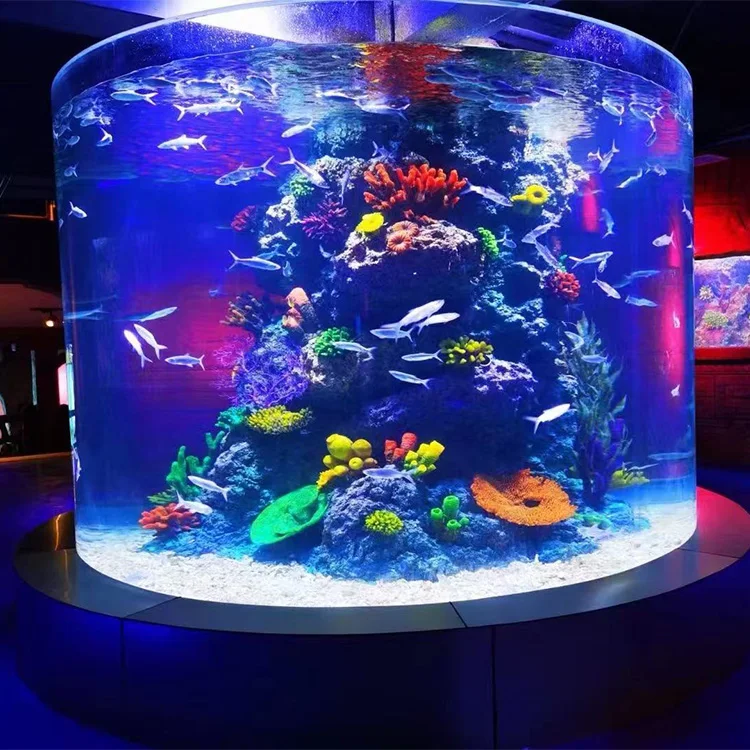 Oceanarium Scene Feature Large Size Thick Eco Friendly Acrylic Large Fish Tank Aquarium Cylinder Design