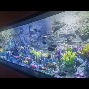 Oceanarium Special Large Size High Transparency New Material Acrylic Glass Large Fish Tank Custom