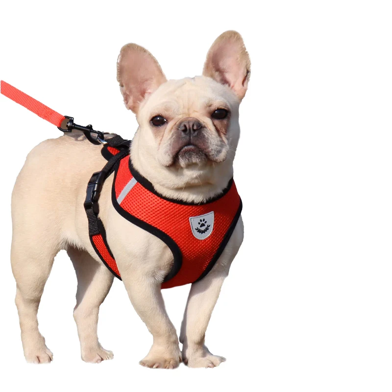 Oem New Lights No Pull H Shape Polyester Dog Harness Manufacturers Adjustable Custom Pet Collars Leashes Harnesses