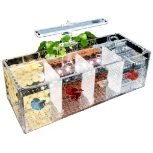 Office Small Fish Decoration Tank Box Water Free Small Acrylic Ecological Aquarium Tank Office Decoration Accessories