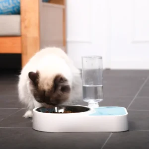 Original New Dual Use Plastic Pet Bowl Eco Friendly Dog Small Animals Automatic Water Feeder Moisture Proof Automatic Drinking