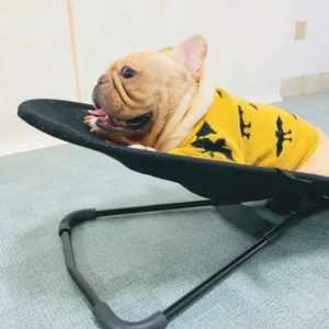 Other Pet Beds & Accessoriesdog Accessories