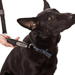 Outdoor Bark Control Dog Training Equipment Ultrasonic Animal Repeller Dog Leash