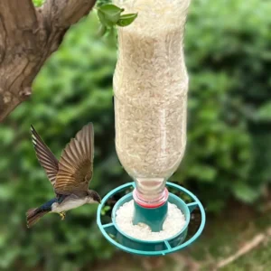 Outdoor Garden Round Bottle Top Bird Feeder Cola Bottle Hanging Model WNQ01