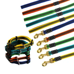 Outdoor Heavy Duty Double Pet Leash Set Long Dog Collar Tactical Nylon Training Leash with D Ring Padded for Comfort